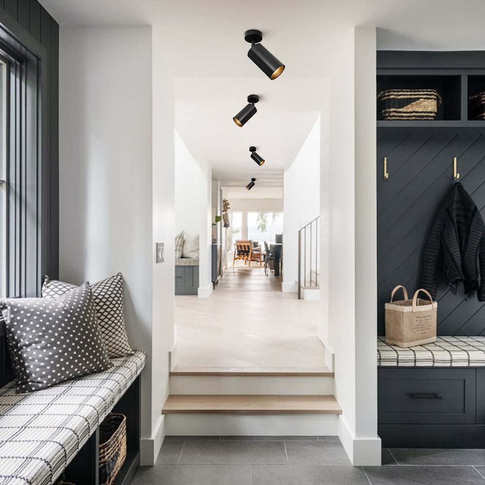 Remy adjustable spot ceiling light – in an entryway