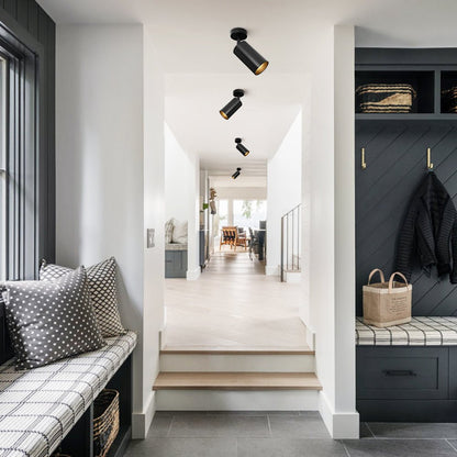 Remy adjustable spot ceiling light – in an entryway