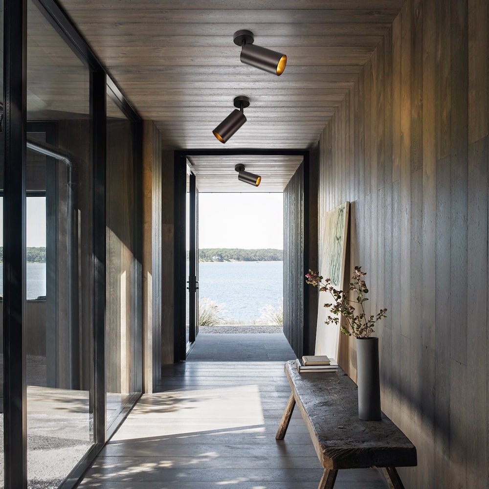 Remy adjustable spot ceiling light – in black in a dark hallway